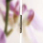 Rumsavdelare Blommor