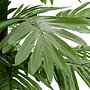 Palmträd Med Led Varmvit 252 Leds 400 Cm